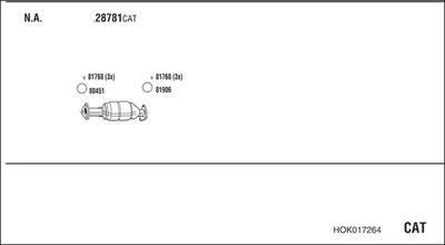 WALKER HOK017264