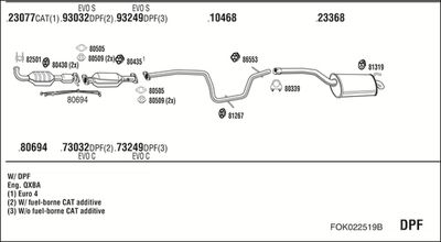 WALKER FOK022519B