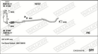 WALKER CIK024501B