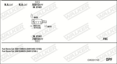 WALKER CIK031743