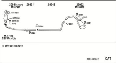 WALKER TOK018813