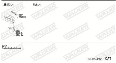 WALKER HYK025448BB