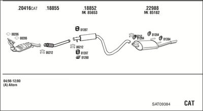 WALKER SAT09384