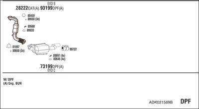 WALKER ADK021589B