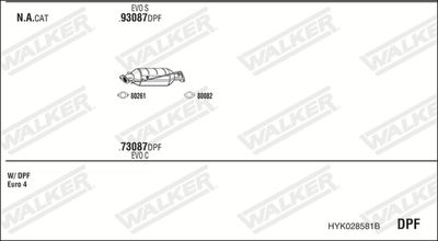 WALKER HYK028581B