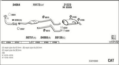 WALKER CI21000