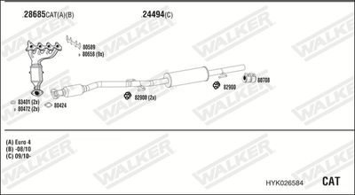 WALKER HYK026584