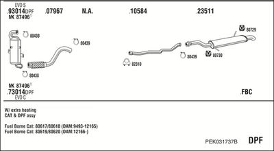 WALKER PEK031737B