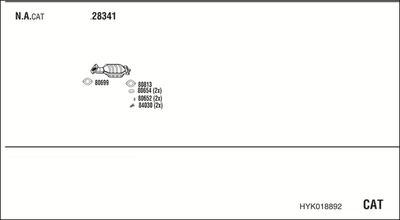 WALKER HYK018892