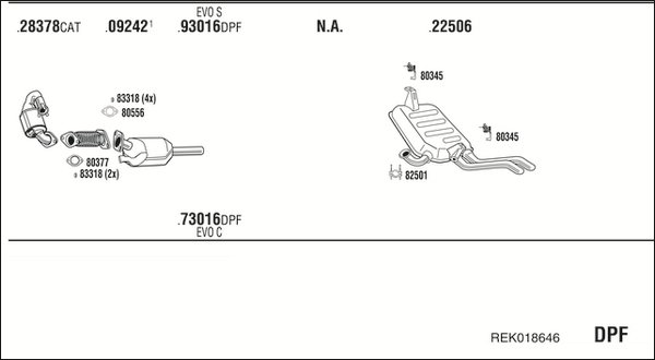 FONOS REK018646