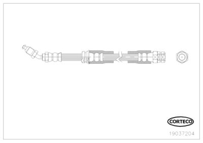 CORTECO 19037204