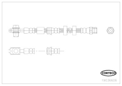 CORTECO 19036606