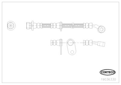 CORTECO 19036330
