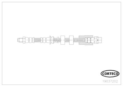 CORTECO 19037202
