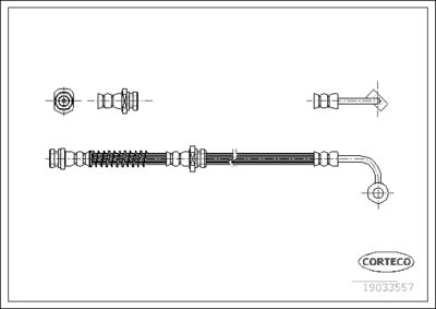 CORTECO 19033557