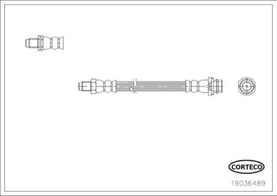 CORTECO 19036489