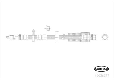 CORTECO 19036377