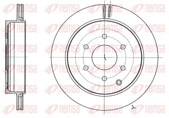 REMSA 61742.10