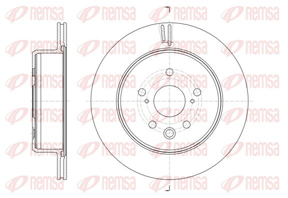 REMSA 61876.10