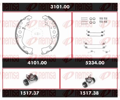 REMSA 3101.00 REMSA 3101.00