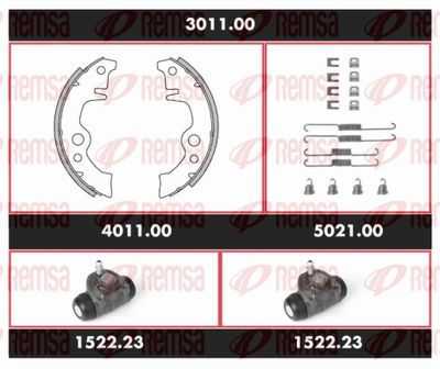 REMSA 3011.00 REMSA 3011.00