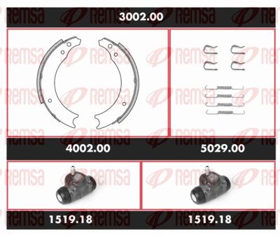 REMSA 3002.00