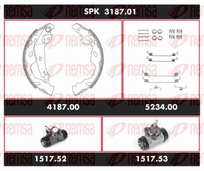 REMSA SPK 3187.01 REMSA SPK 3187.01