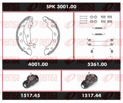 REMSA SPK 3001.00 REMSA SPK 3001.00