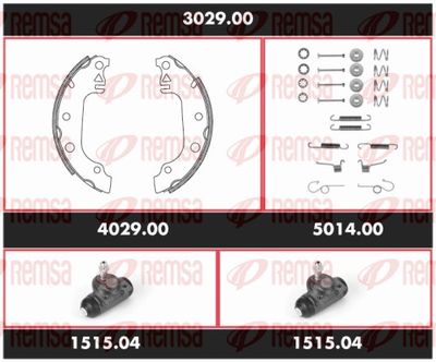 REMSA 3029.00