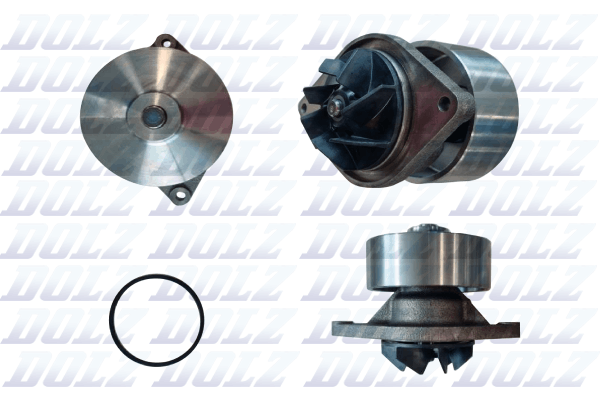 DOLZ L256