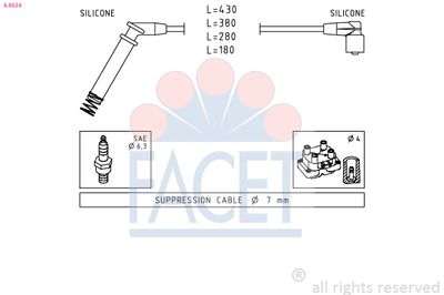 FACET 4.8634