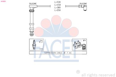 FACET 4.9503