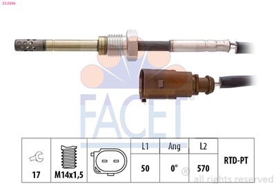 FACET 22.0266