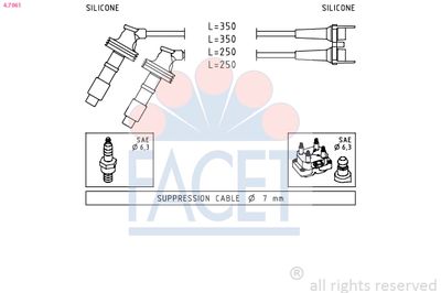 FACET 4.7061