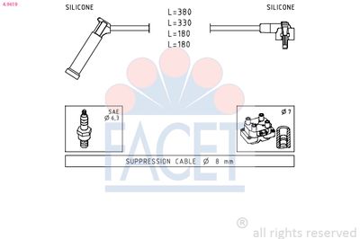 FACET 4.9619