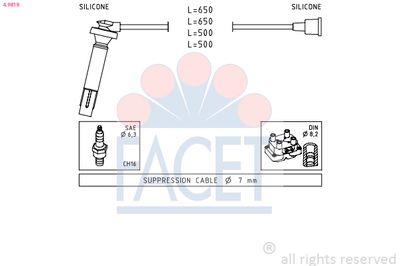 FACET 4.9819