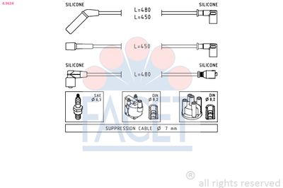 FACET 4.9634