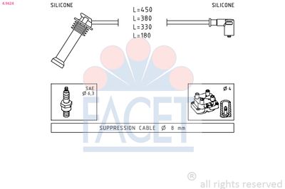 FACET 4.9624