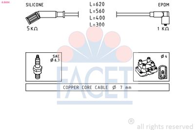 FACET 4.8694