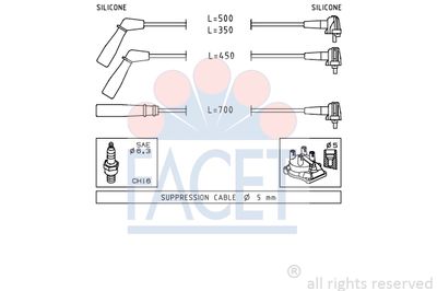 FACET 4.9393