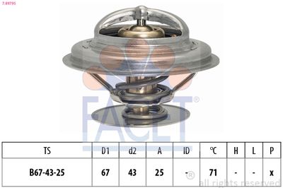 FACET 7.8979S