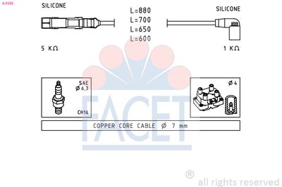 FACET 4.9595