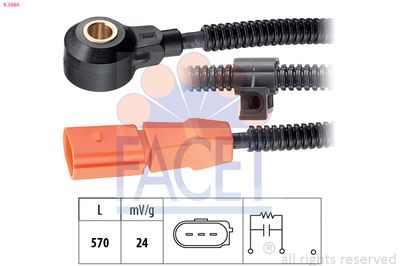FACET 9.3086 FACET 9.3086