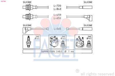 FACET 4.8748