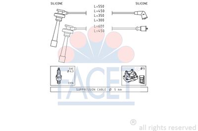 FACET 4.9344