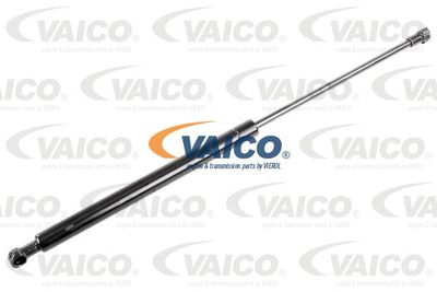 VAICO V70-0123