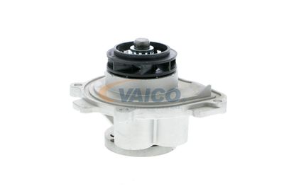 VAICO V40-50038-1