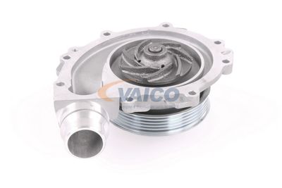 VAICO V30-50098