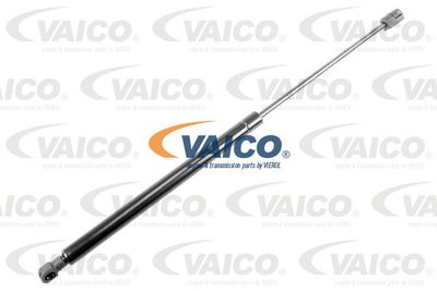 VAICO V52-0031