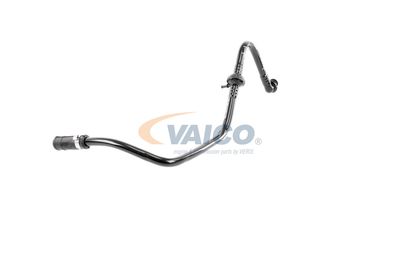 VAICO V103604 VAICO V103604